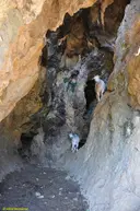 Cova Fresca - Thumbnail 2, Llanars