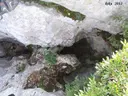 Avenc de la Lira - Miniatura 4, Begues