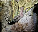 Cova del Peladet - Miniatura 6, Camarasa