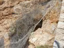 Cova de la Punta Grossa - Miniatura 2, Sitges
