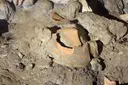 Cova del Gallo - Miniatura 6, Alfara de Carles