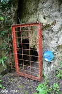 Cova de Fontanil - Miniatur 4, Planes d'Hostoles, Les