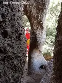 Cova de la Columna - Miniatura 7, Gallifa