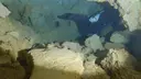 Cova dels Arquets - Thumbnail 4, Torroella de Montgrí