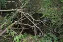 Forat dels Talladors - Miniatura 1, Susqueda