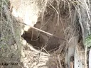 Avenc de Roca Negra - Thumbnail 6, Castelldefels