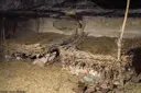 Espluga dels Maquis - Miniatura 4, Coll de Nargó