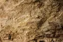 Cova dels Vilars - Thumbnail 3, Os de Balaguer