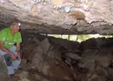 Cova dels Encantats de la Massanella - Миниатюра 5, Albanyà