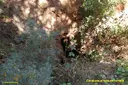 Cova de Can Trullars - Thumbnail 2, Viladecavalls
