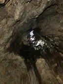 Grallera Gran del Boixeder - Miniatura 5, Josa i Tuixén