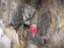 Cova d'en Gerret - Miniature 5, Alfara de Carles