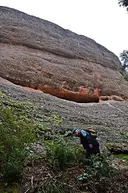 Balma de la Serrallonga - Miniatura 1, Mura