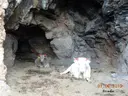 la Tuta - Miniatura 4, Castellar de n'Hug