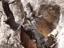 Foradades de la Soleia - Miniatura 2, Matadepera