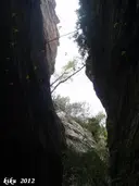 Avencots dels Motllats de la Pona - Miniatura 6, Febró, La