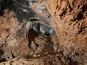 Cova de la Pesseta - Miniatura 3, Torrelles de Foix