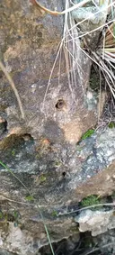 Avenc del Spit - Miniatura 2, Sitges