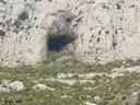 Forat Negre de Bóixols - Miniatura 2, Coll de Nargó