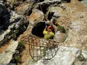 Pou de la Calella - Miniatura 2, Torroella de Montgrí