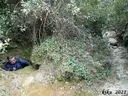 el Brogit - Miniatur 2, Castellbell i el Vilar