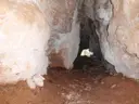 Cova de la Lluna - Miniatura 3, Tortosa