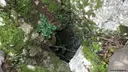 Avenc Negre - Miniatura 3, Vallirana
