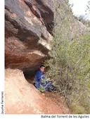 Balma del Torrent de les àguiles - Miniatur 2, Collbató