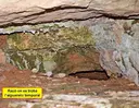 Balma de la Figuera - Miniatura 4, Lluçà