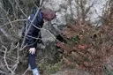 Cova de Carradon - Thumbnail 2, Alàs i Cerc