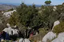 Avenc del Margalló - Miniatura 2, Begues