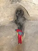 Cova Terrera - Miniatura 5, Alfara de Carles