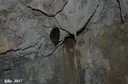 Forat del Caco - Miniatura 5, Avellanes i Santa Linya, Les