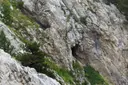 Cova del Pont de Roca - Miniature 1, Urús
