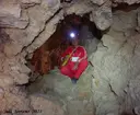 Cova de Santa Fe - Miniatura 7, Coll de Nargó