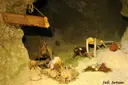 Cova dels Tions - Miniatura 3, Mont-ral