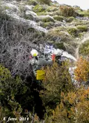 Grallera Petita d'Alsamora - Thumbnail 1, Sant Esteve de la Sarga