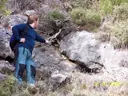 Cova dels Ninots - Miniatura 2, Arnes