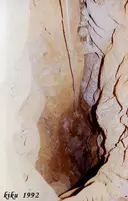 Avenc Amat I Pagés - Miniatura 4, Begues