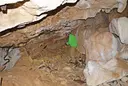 Cova de les Arcades - 缩略图 5, Albanyà