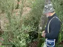 Avenc Nº2 de les Forques - Miniatura 1, Gavet de la Conca