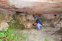 Balma Corral de Can Pèlecs - Miniatura 3, Matadepera