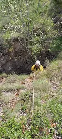 Grallera del Ras - Miniatura 1, Llimiana