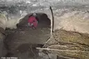 Espluga dels Maquis - Miniatura 5, Coll de Nargó