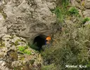 Cau Oest dels Cisternons - Thumbnail 2, Torroella de Montgrí