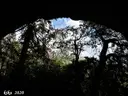Cova del Be - Thumbnail 2, Mont-ral
