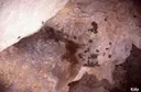 Cova de l'Escaleta - Miniatura 5, Camarasa
