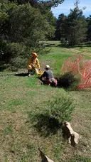 Avenc del Pla d'aubenç - Miniatura 1, Peramola