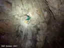 Cova de la Vila - Miniatura 14, Febró, La