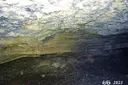 Balma dels Foresos - صورة مصغرة 5, Vimbodí i Poblet